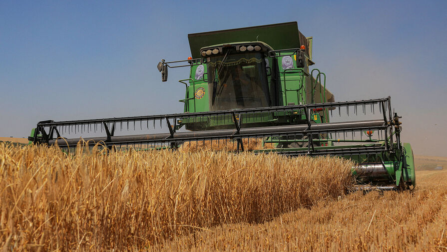 Правительство РФ расширило объем допустимого экспорта зерна из РФ