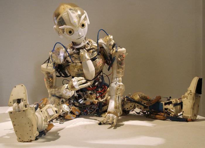 Science Robotics: роботы отстают от животных в восприятии окружающей среды